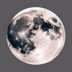 🌕 8月のアロマ占星術 × アロマ × ハーブ × 薬膳 × ライフスタイル提案